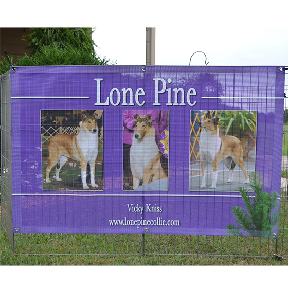 outdoor mesh banners